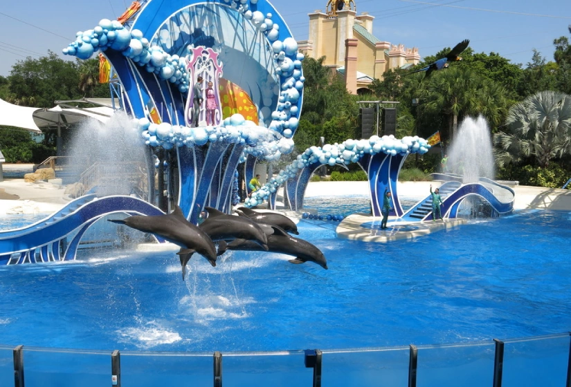 seaworld orlando to mco