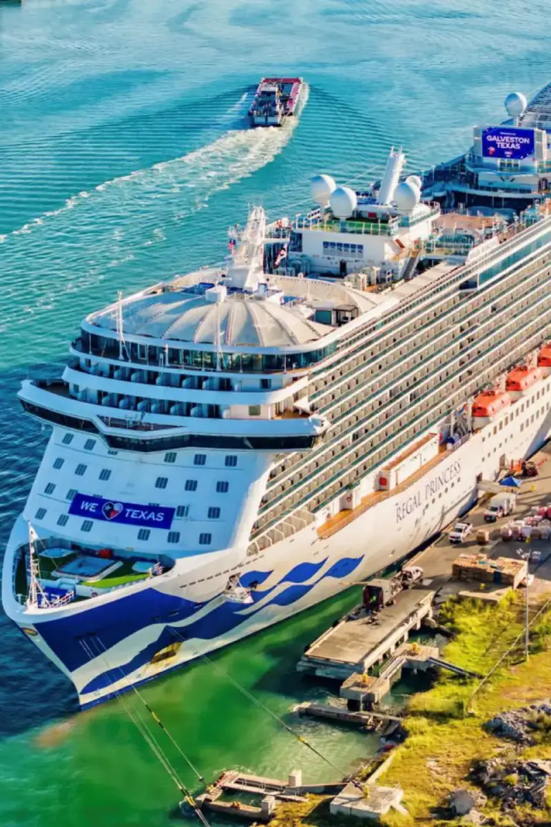 Princess Cruise Car Service Orlando for On-Time Port Canaveral Transfers