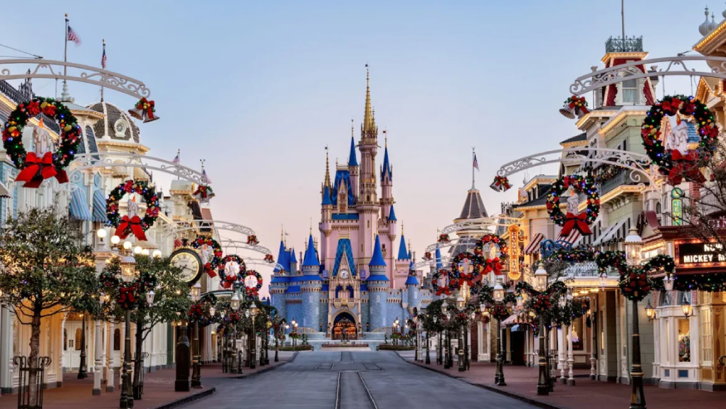 Private Orlando limo service to Disney World
